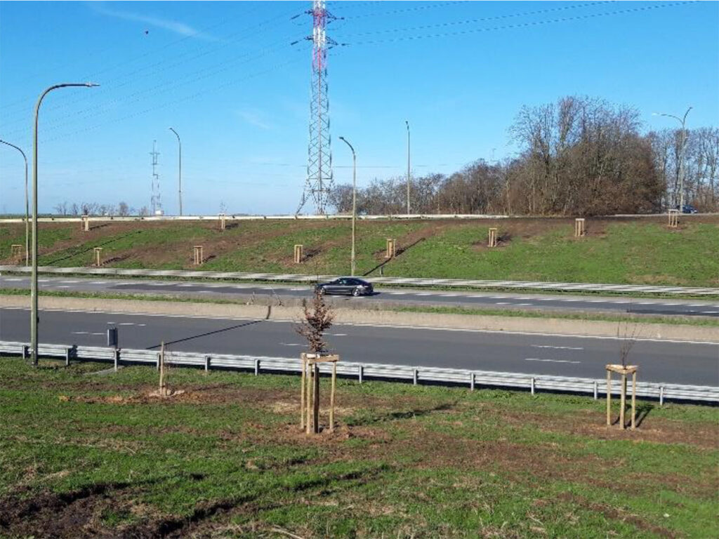Plus de 100.000 nouvelles plantations le long des autoroutes, nationales, voies hydrauliques de Wallonie